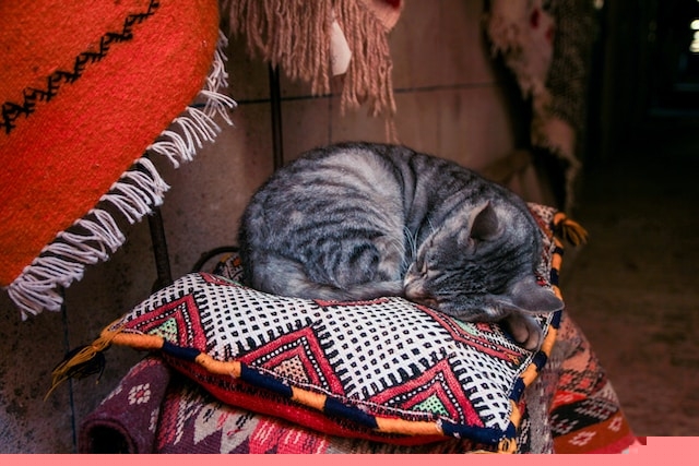 Frontier town-inspired rugs